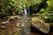 Waterfall in Forest