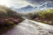 Pictorial Landscape
