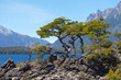 National park Lanin, lake Huechulafquen, Patagonia, Argentina