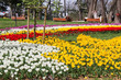 Foto: Flower Flower