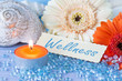 Wellness