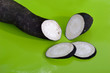 Radis noir tranché bio (raphanus sativus) - f.vert