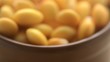 Lupinus albus 白羽扇豆