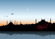 Vector: Istanbul skyline Istanbul skyline