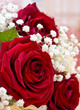 canvas print picture - Розы, rose