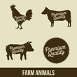 farm animals