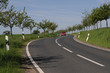 canvas print picture - Mit Baeumen gesaeumte Landstrasse im Taunus,Hessen.