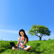 Laptop Work In Field