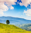Morning sunny day is in mountain landscape. 