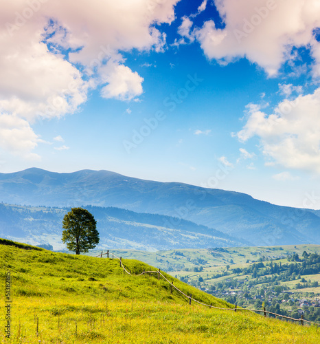 Photo: Morning sunny day is in mountain landscape. Morning sunny day is in mountain landscape.