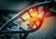 DNA molecule