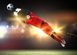 Goalkeeper catches the ball