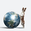 Dog with the Earth.