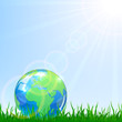 Globe in a grass
