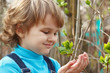 Little blond boy holding the bloom leaves outdoors