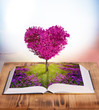 magic book
