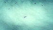 Pieces of metal flying though the air. Perfect loop.