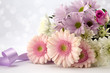 Pastel Pinks