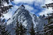 Photo: McClellan Butte Snow Mountain Peak Through Trees Snoqualme Pass McClellan Butte Snow Mountain Peak Through Trees Snoqualme Pass