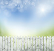 springold white fence
