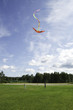 Dragon flying in the sky