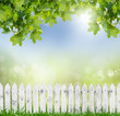 springold white fence