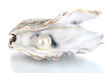 Open oyster with pearl isolated on white