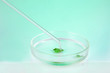 Chemical research in Petri dish on light green background