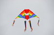 Beautiful Large Kite