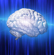 Illustration: Brain Puzzle Brain Puzzle