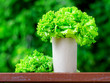 lettuce
