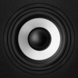 Black & white speaker
