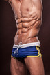 Male torso