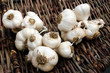 Foto: Garlic Garlic
