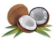 Coconut with leaves