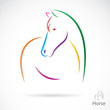Vector image of an horse , illustration - vector