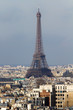 Eiffel Tower and roofs of Paris