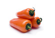 yellow Pepper