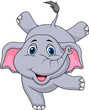 Cute elephant circus