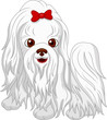 Cute dog cartoon