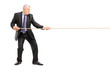 Full length portrait of a mature businessman in suit pulling a r