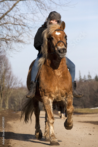 Photo: Reiterin auf Haflinger Pony Reiterin auf Haflinger Pony