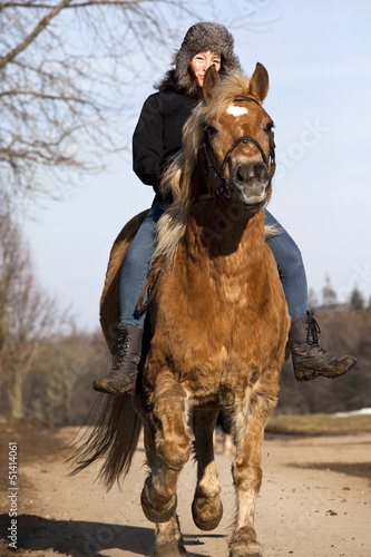 Photo: Reiterin auf Haflinger Pony Reiterin auf Haflinger Pony