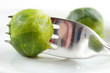 Steam cooked brussels sprouts closeup with fork