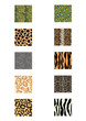 nature animal seamless skin pattern fabric
