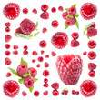 Raspberry background