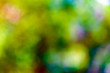 Natural green blurred background.