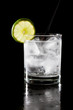 gin and tonic