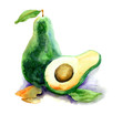 Avocado