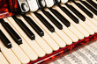Red accordion, close up